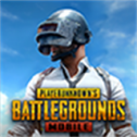 pubg国际服版-PUBG国际服版下载官方