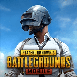 pubg官方正版国际服