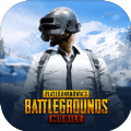 国际服pubg群星直装游戏安卓版 v2.3.1