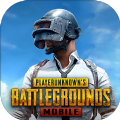 PUBG龙王辅助器APP-pubg龙王辅助器下载