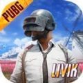 pubg2.1国际服手游下载安装