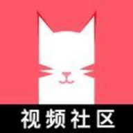 猫咪和汤下载-猫咪和汤