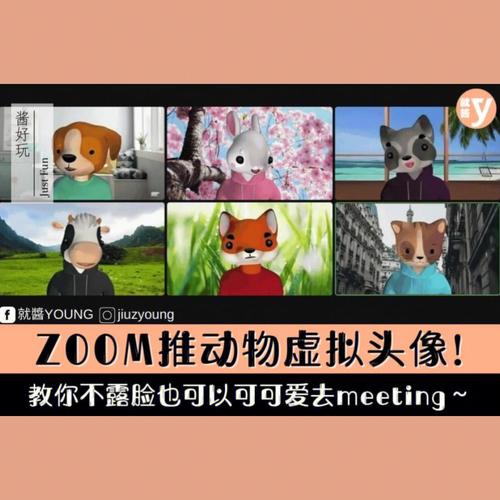 zoom动物名-ZOOM动物合集VERDEOS