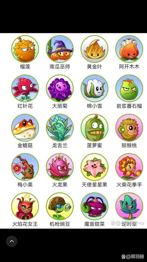 pvz拓展与增强版下载