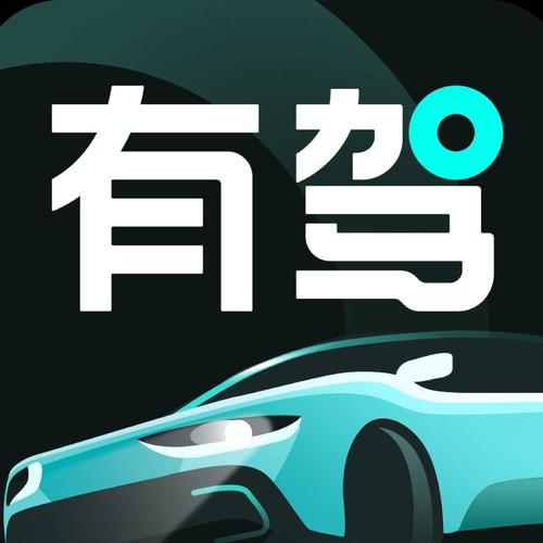 有驾APP ios版图标