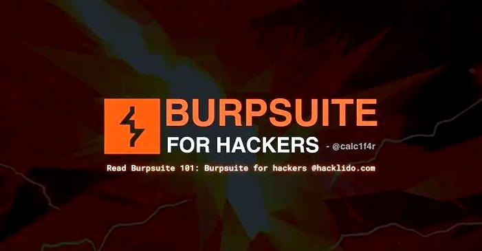 BurpSuitePro官方安装游戏截图