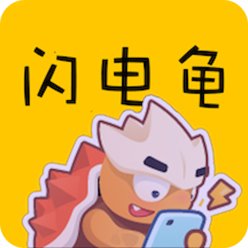 闪电龟正版安装图标
