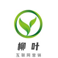 柳叶小说