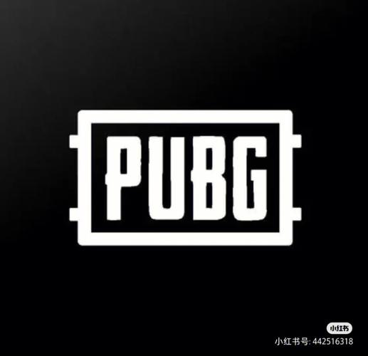 pubg白开水直装