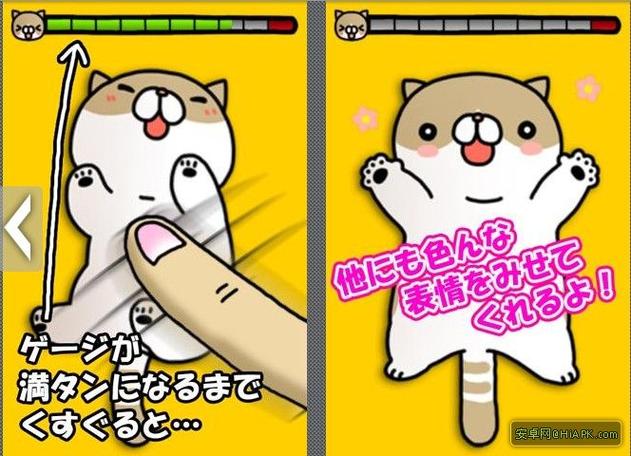 触摸熟睡的小猫咪游戏