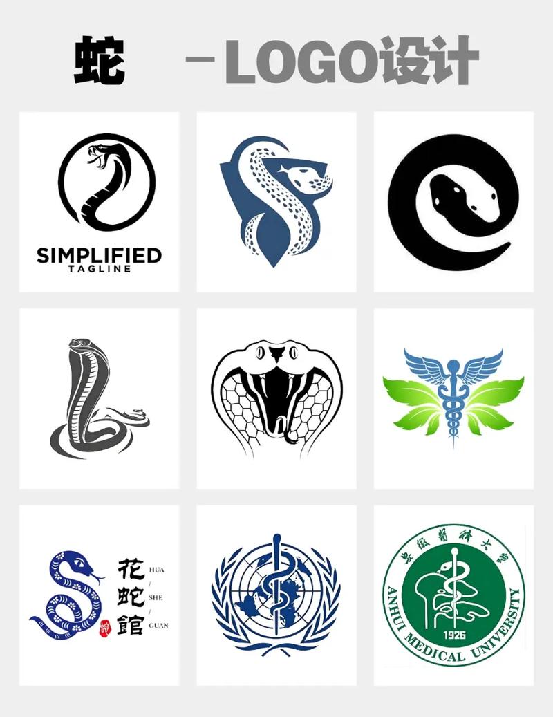 毒蛇加速器官方正版