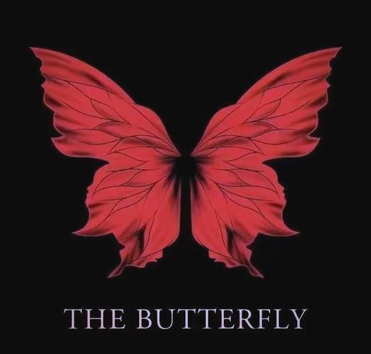 蝴蝶传媒黄轻量版红色版