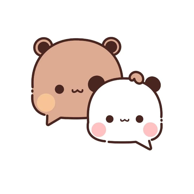 小熊相机换头像教程安卓版无广告