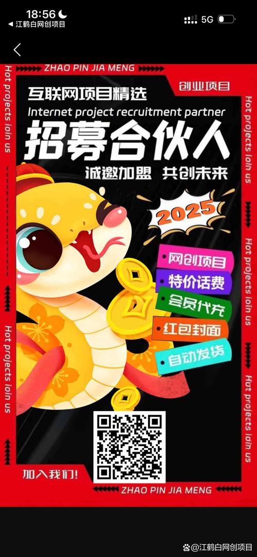 趣武林排线赚钱官