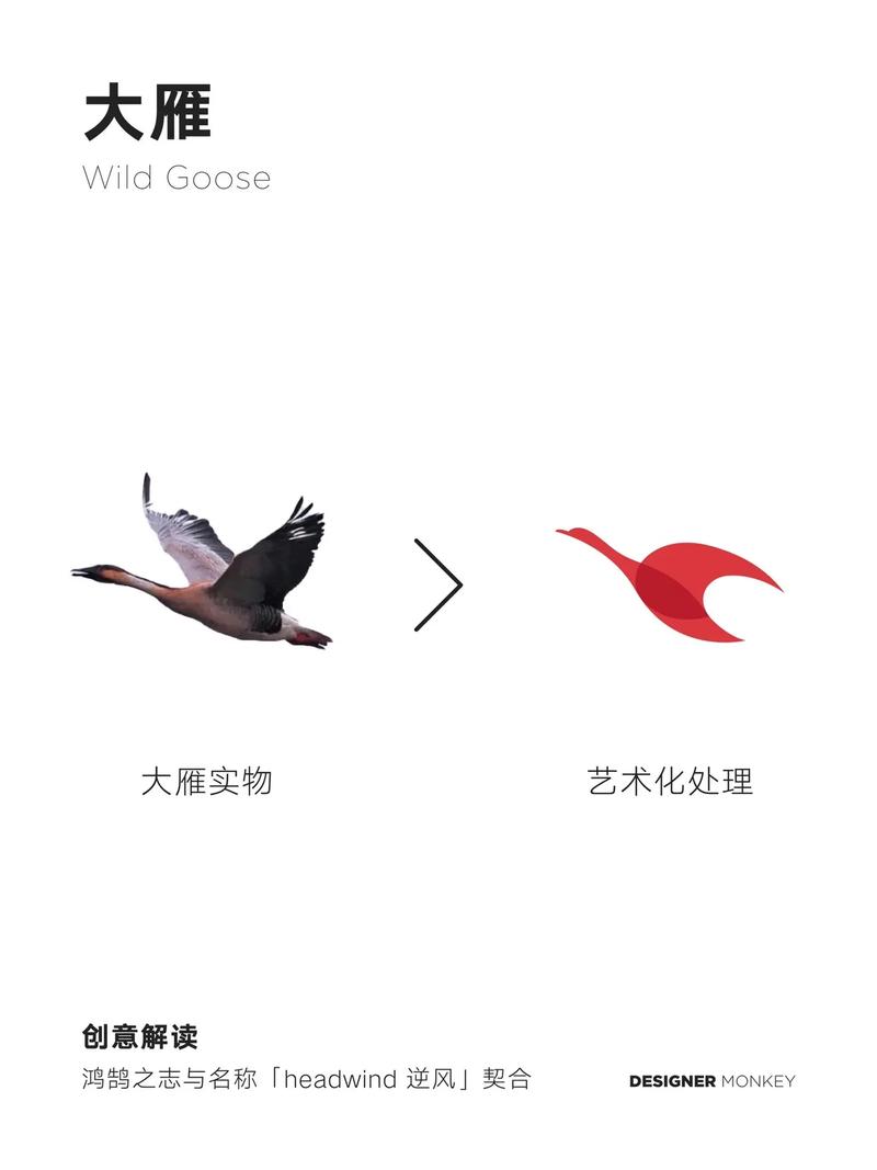 大雁资讯赚钱版