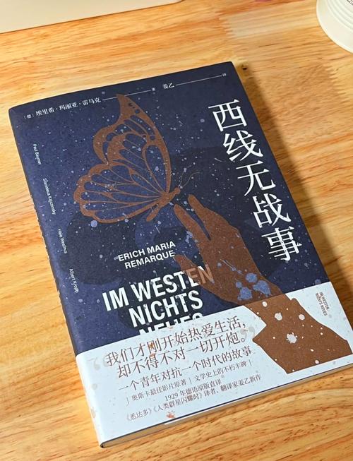 《西线无战事》小说在线阅读