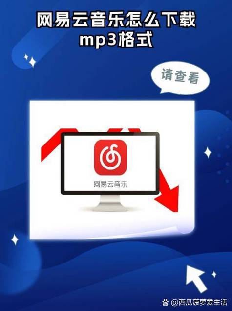 网易云vip歌曲可以下载到mp3上吗图标