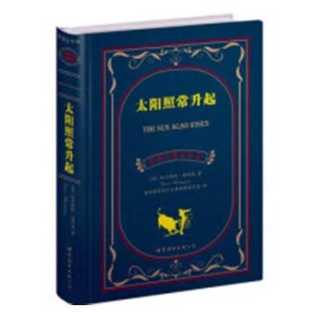 太阳照常升起小说写了什么