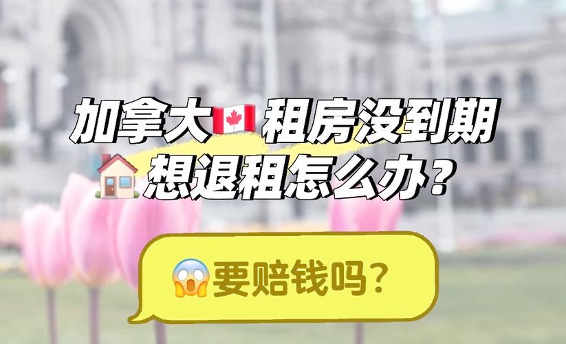 租的房子没到期可以要求退房租么游戏截图
