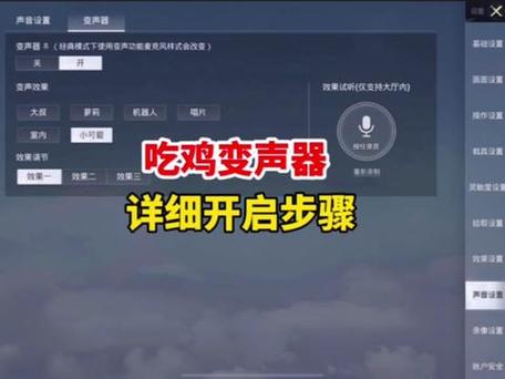 和平精英怎么开变声器?免费?游戏截图
