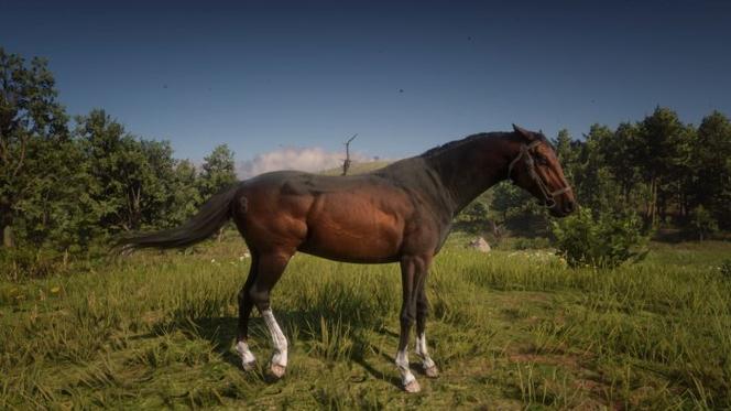 荒野大镖客2ol土库曼马游戏截图