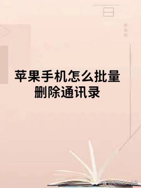 苹果通讯录批量删除图标