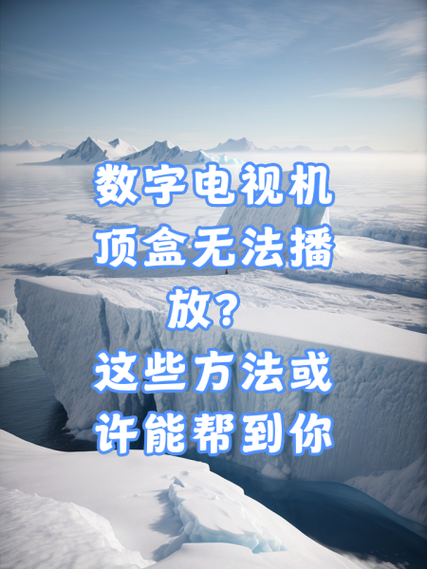 机顶盒网络正常但是放不了电视