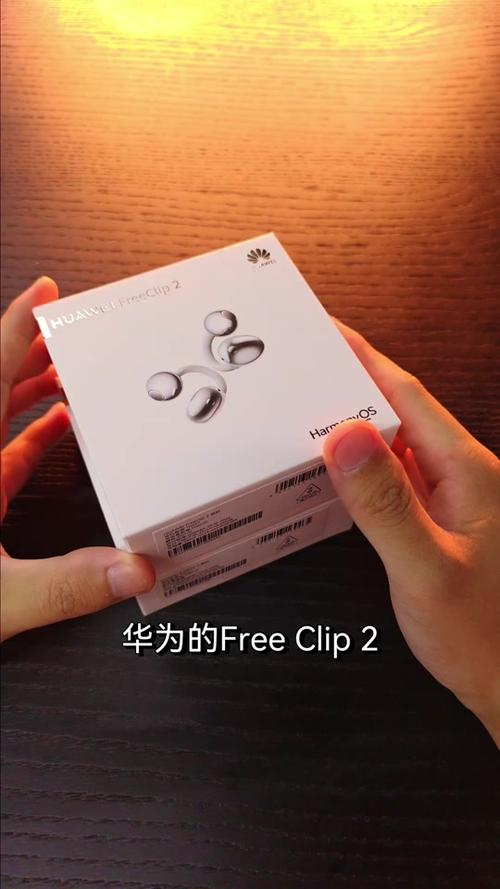 freeclip怎么重新配对图标