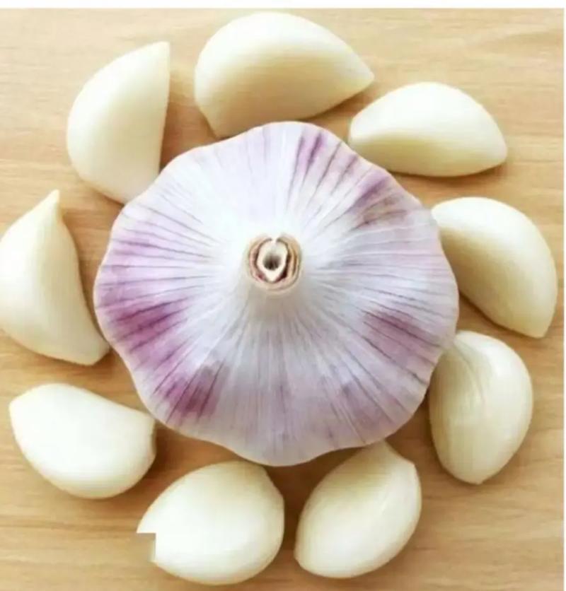 大蒜能冷冻保存吗