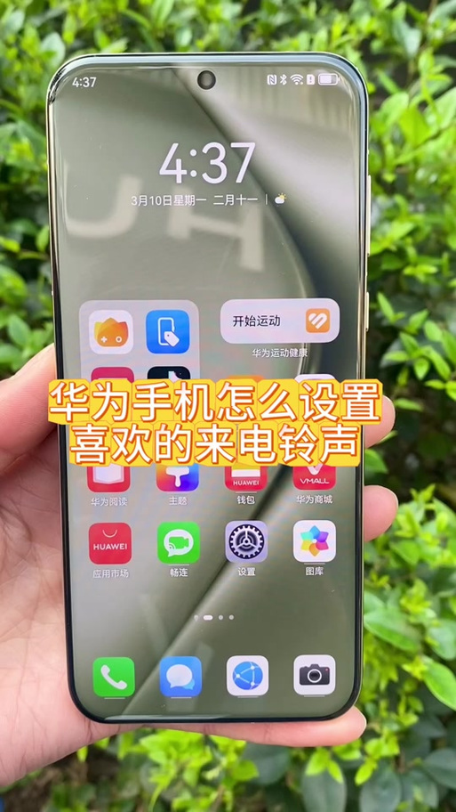 荣耀手机怎么调音质图标