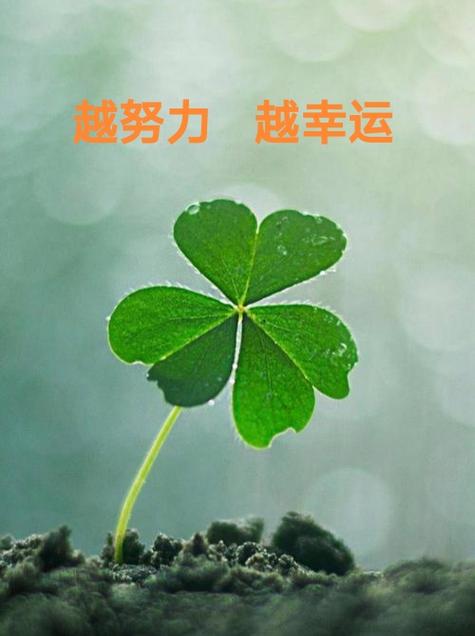 幸运人生是什么意思图标