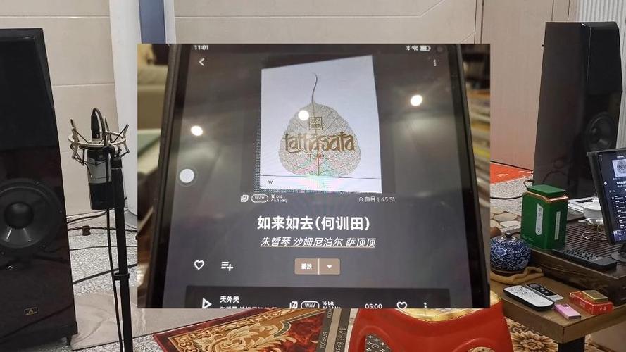 数播的音源从哪来