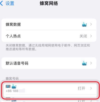 iphone怎么设置默认主号打电话游戏截图