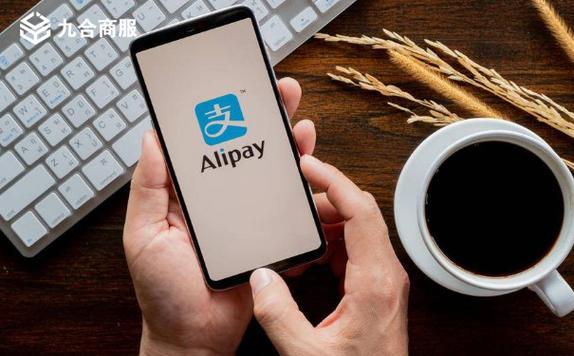 2014年支付宝普及了吗图标