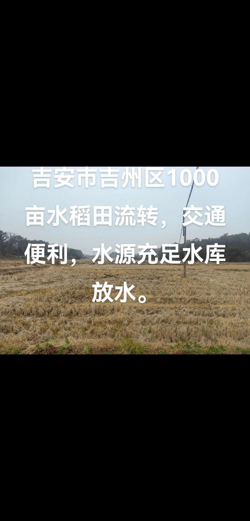 吉安土地流转网