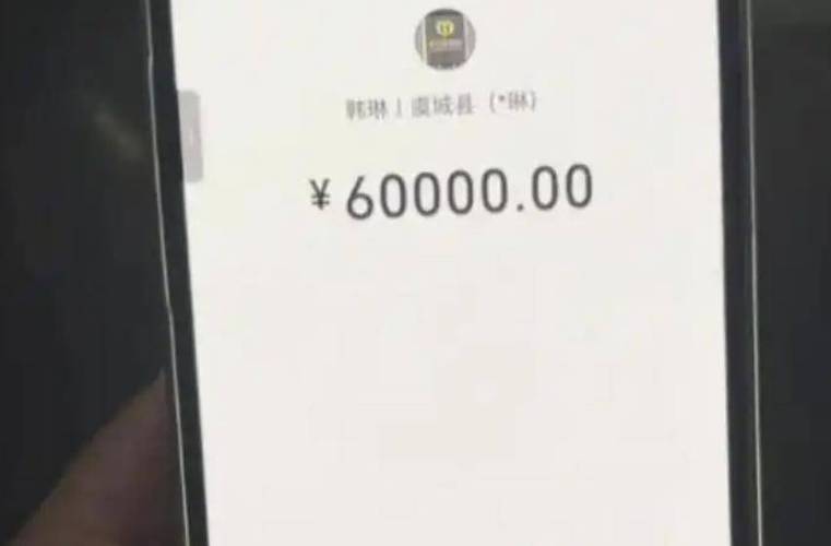 陌生人转账给我怎么办游戏截图