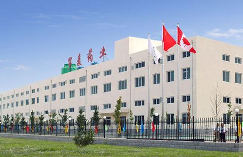 罗麦科技有限公司图标