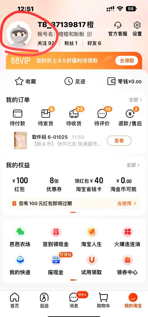 淘宝订单统计在哪里看游戏截图