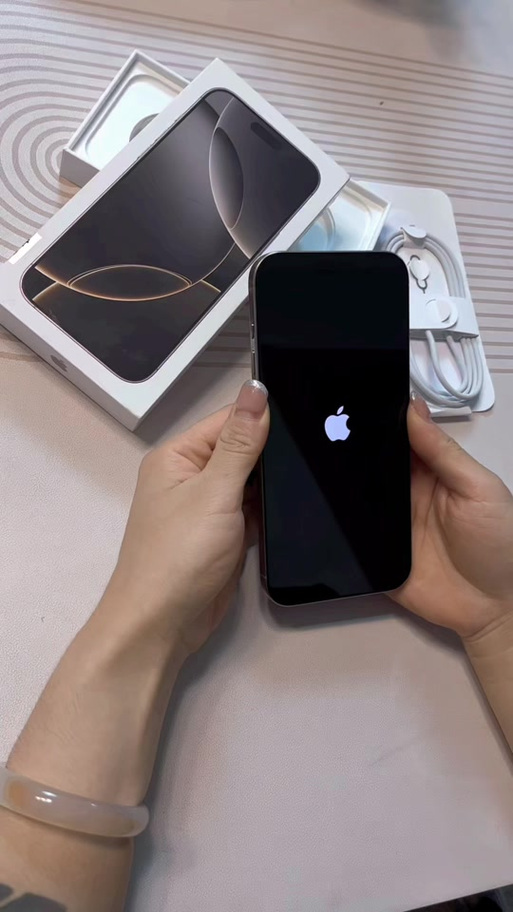 L开头苹果是正规还是仿图标