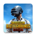 PUBG亚服下载