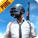 PUBGMObile体验服手游下载