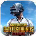 绝地求生pubg(国际服)手游下载