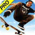 skate3滑板3中文版下载