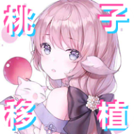 pixelbunny有声汉化版