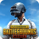 pubg测试服华为版