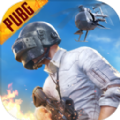 pubgmobile亚服正版下载