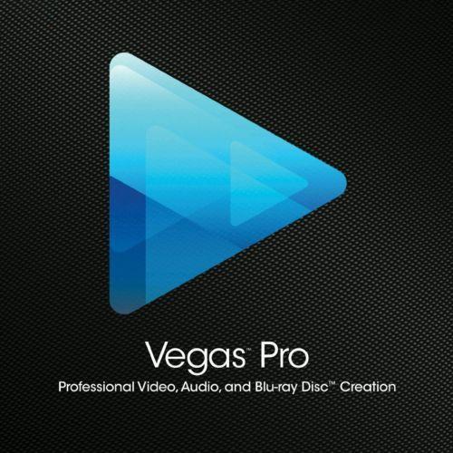 vegaspro已停止执行