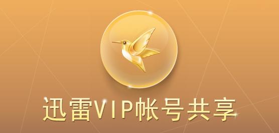 迅雷vip账号获取器