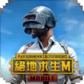 pubg国际服手游更新地铁逃生最新版本安卓v2.5.0