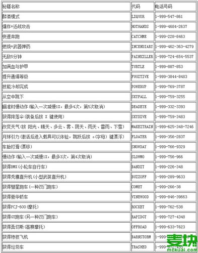 侠盗罗宾汉秘籍大全